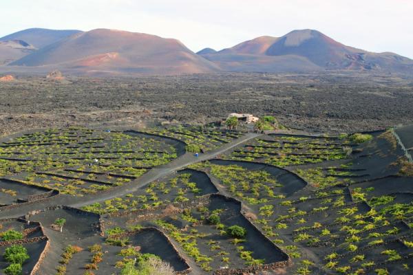 Casa Rural Vega De Timanfaya - Lanzarote