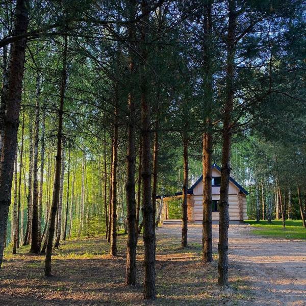 Kuvassa näkyy kohde Leśne Klimaty, joka sijaitsee kaupungissa Kleszczówek.