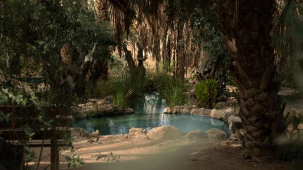 A la foto es mostra l'objecte Moa Living situat a la ciutat de Sappir.