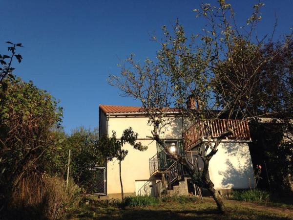 Na zdjęciu widoczny jest obiekt La Petite Maison Rustique położony w mieście Puyfebert.