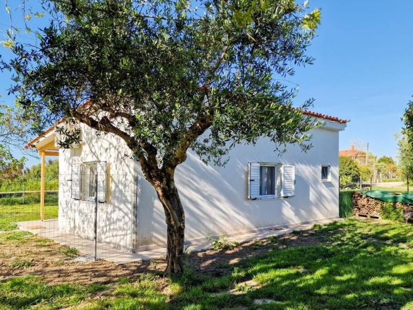 Cozy Owl's Studio Home - Greece