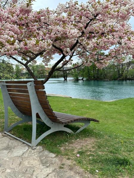 A la foto es mostra l'objecte Apartman My Choice situat a la ciutat de Bihac.