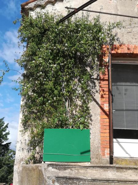 A la foto es mostra l'objecte Glycines et jasmins situat a la ciutat de La Vernarède.