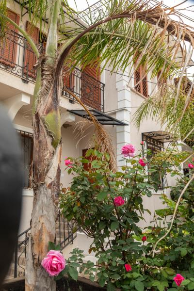 Na fotografii je vidět objekt Angoni Villa nacházející se ve městě Durrës.