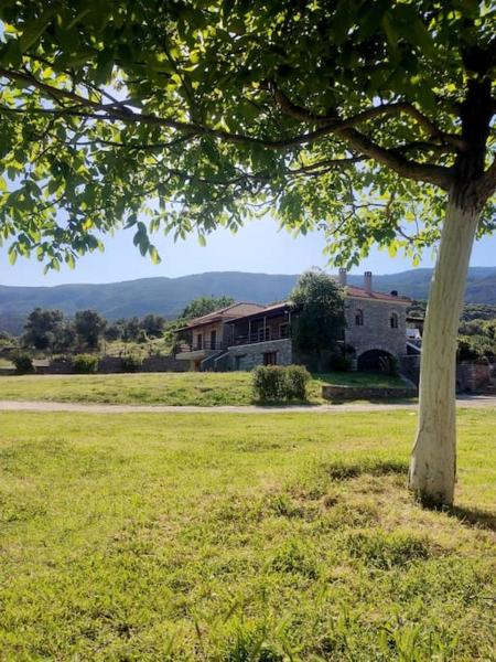 A la foto es mostra l'objecte Venus cottage situat a la ciutat de Kádhion.