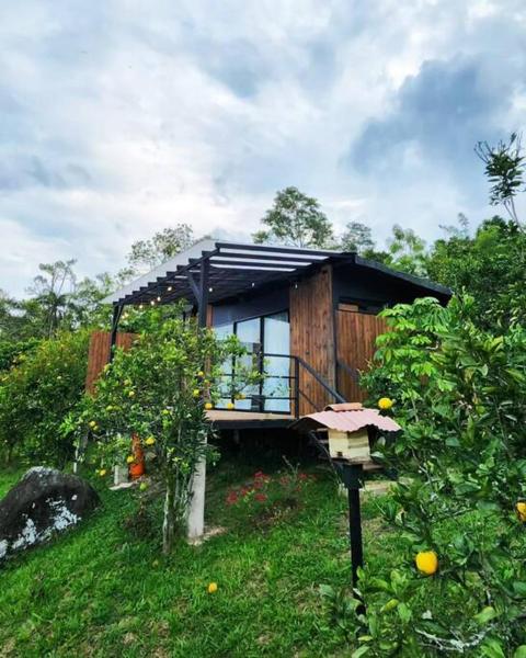 Na fotografii je vidět objekt Manoah: cabaña en las montañas 2 nacházející se ve městě Líbano.