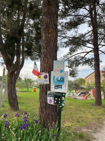 A la foto es mostra l'objecte settimana relax situat a la ciutat de Borghetto.
