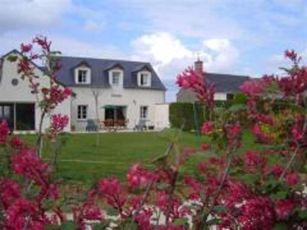 A la foto es mostra l'objecte Maison avec piscine privative, proche châteaux de la Loire, 3 chambres, animaux acceptés, WiFi inclus - FR-1-491-413 situat a la ciutat de Marchenoir.