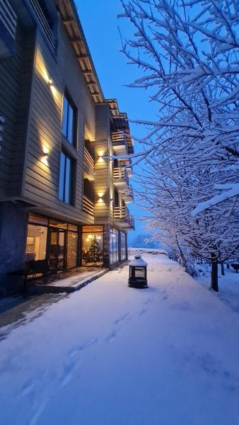写真にはメスティア市にあるMestia Rootsが写っています。