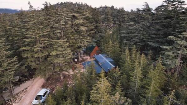 Na fotografii je vidět objekt Cedrus life bungalov tesisi nacházející se ve městě Erdemli.