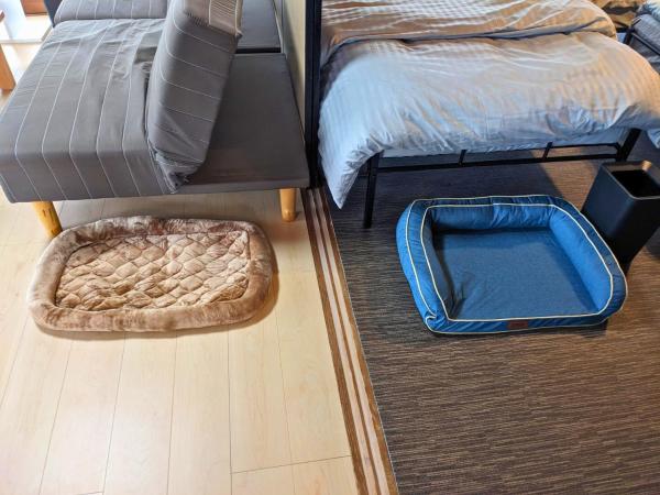 Фотография 4: 徳島のペットと泊まれる付き貸し切り一軒家