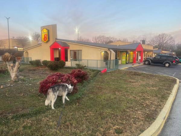 Fotografia 8: Super 8 by Wyndham Monroe