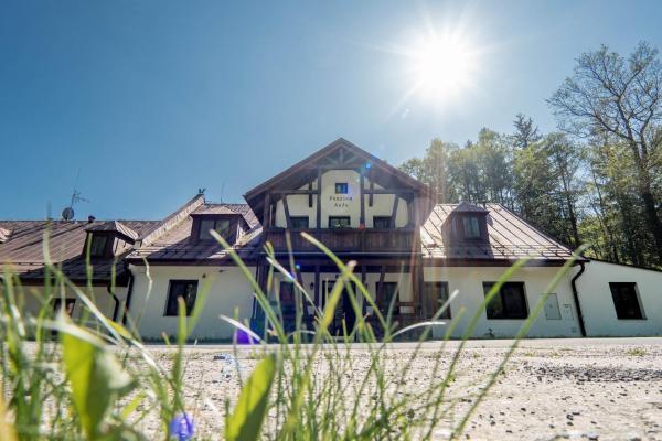 Nella foto è visibile l'oggetto Pension Anja situato nella città di Andělská Hora.