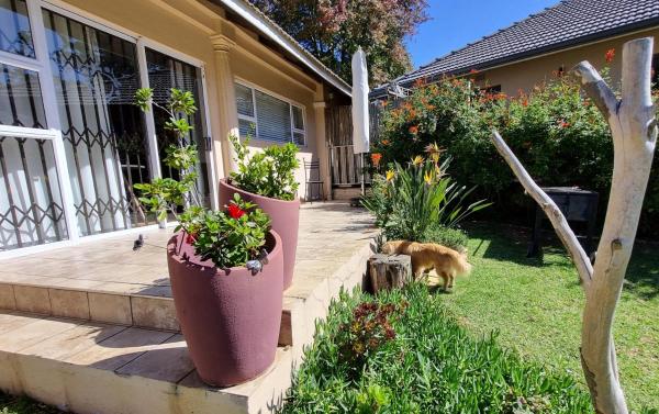 Bilde 2: Studio in Bryanston