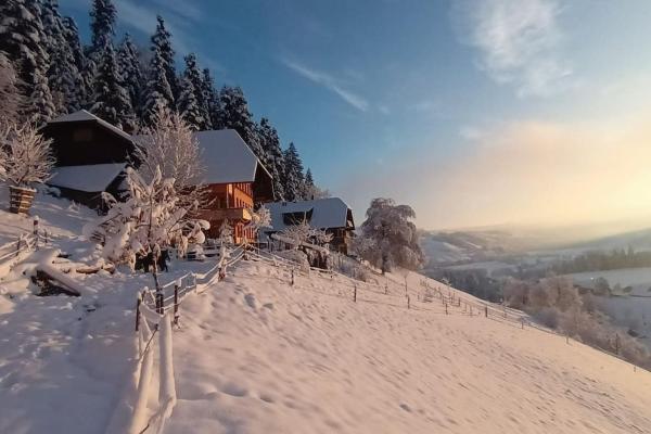 Na fotografii je vidět objekt Ferienwohnung in Emmentaler Bauernhaus, Vogelsang nacházející se ve městě Zäziwil.