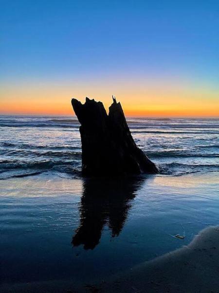 Foto 7: Breakers - stay in a tiny home on the Oregon Coast