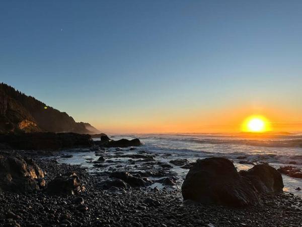 Billede 8: Shorepine - Tiny Tranquility on the Oregon Coast!