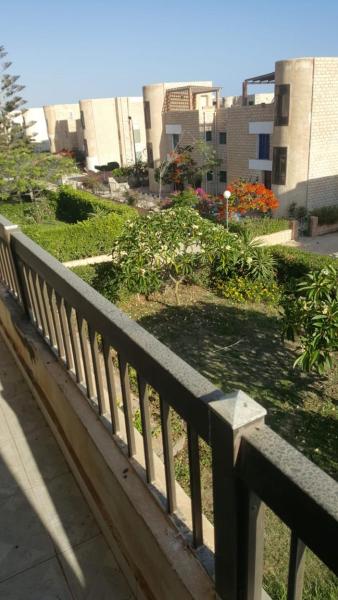 Photo 2 : القاهره