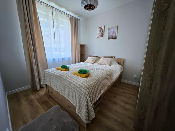 A la foto es mostra l'objecte Urban Jungle Apartament Brown situat a la ciutat de Białystok.