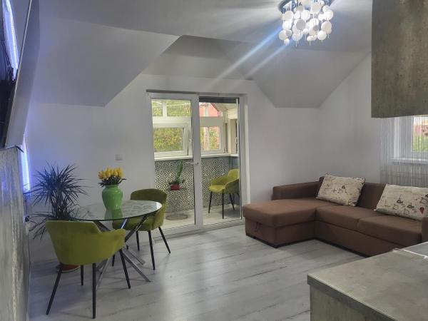 The photo shows the Alina apartaments located in the city of Turnişor.