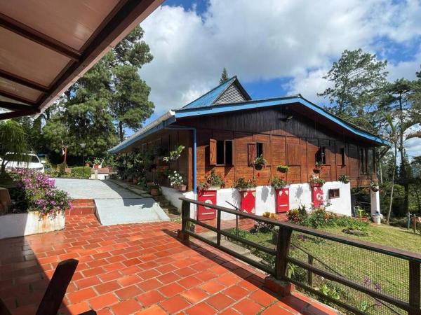 Na zdjęciu widoczny jest obiekt María Ce - Cabaña familiar en el K25 vía al mar położony w mieście Dagua.