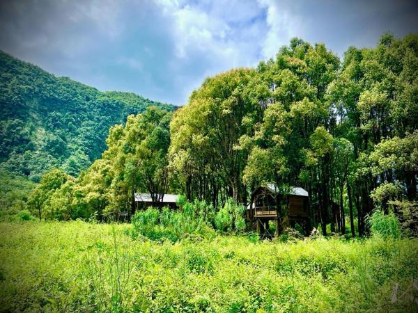 Kanopea Forest Lodge - Saint-Benoît