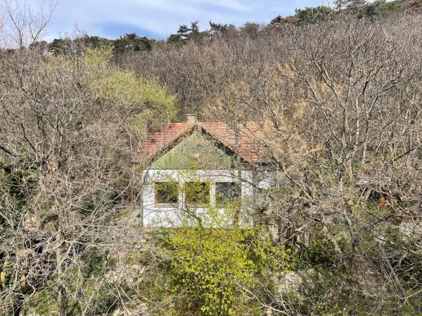 Fotografie 4: Rustic Cottage & Garden Retreat on Buda Hilltop