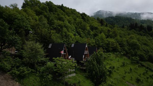 На фото показан объект The overlook cottage 2, расположенный в городе Beselashvilebi.