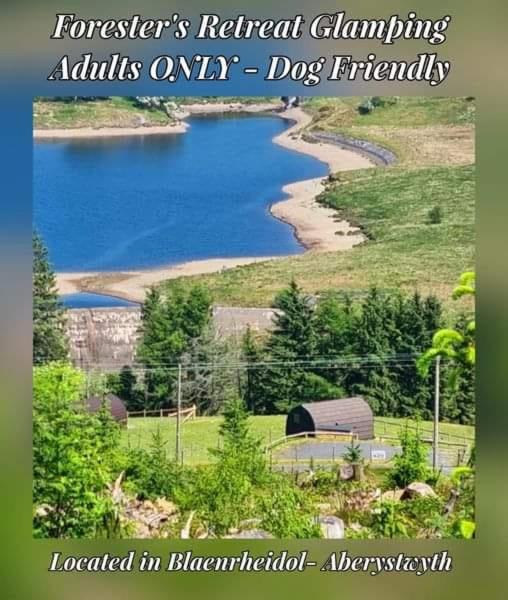 Na zdjęciu widoczny jest obiekt Forester's Retreat Glamping - Dinas View - Vaccinated dogs over the age of 2 are accepted położony w mieście Aberystwyth.