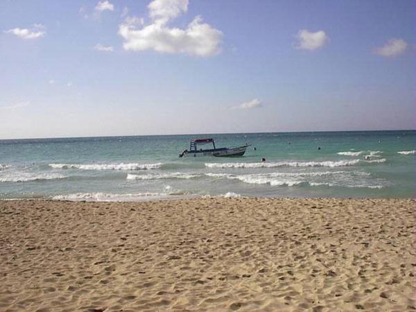 Na fotografii je vidět objekt 2 BDR Apt on 7 Mile Beach at Negril Beach Club nacházející se ve městě Negril.