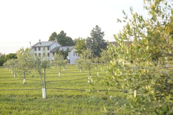 På billedet ses objektet Casa di Alba - Alloggi turistici beliggende i byen Godi.