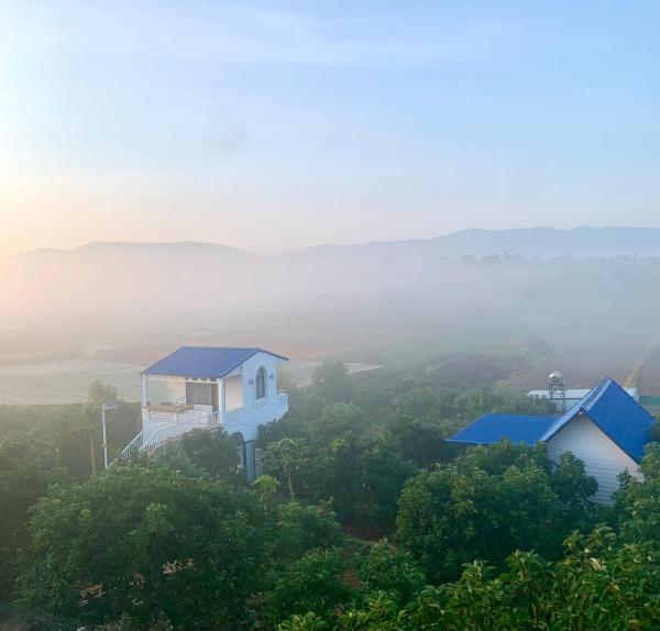 På bildet vises objektet Điểm du lịch canh nông Avocado Farm som ligger i byen Tarklette.