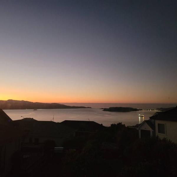 Scenic Haven Warm, Ethnic Charm - Wellington