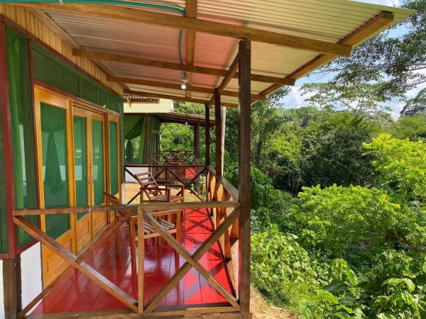 A la foto es mostra l'objecte Amazon Açaí Lodge situat a la ciutat de Leticia.