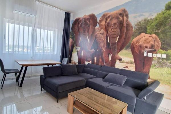 Safari, Lomé