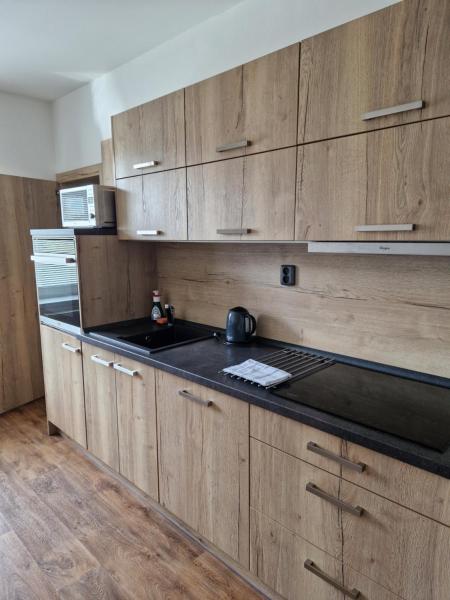 Na zdjęciu widoczny jest obiekt Apartmán Eliášova położony w mieście Sosnová.