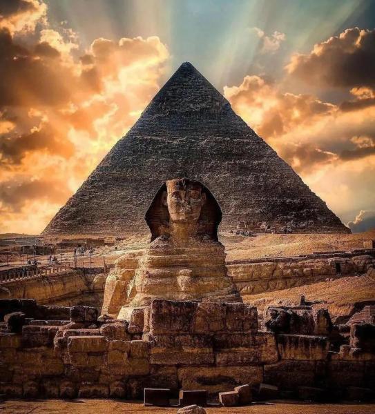 Nella foto è visibile l'oggetto Egyptian Tour Operator situato nella città di Il Cairo.