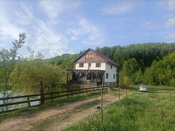 Cabana ȚIbleș Bichigiu - Județul Maramureș