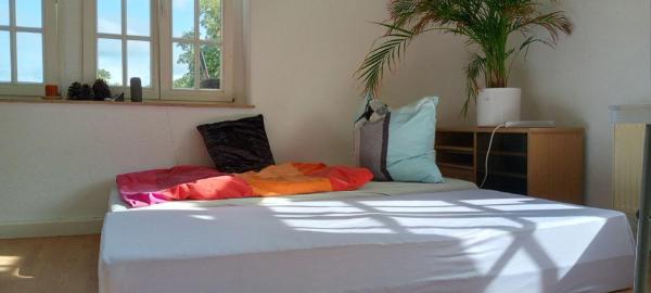 På billedet ses objektet Forrest Apartments in Freiberg Min stay 2 nights Max Number of Guest 1 Aprt 1 beliggende i byen Freiberg.