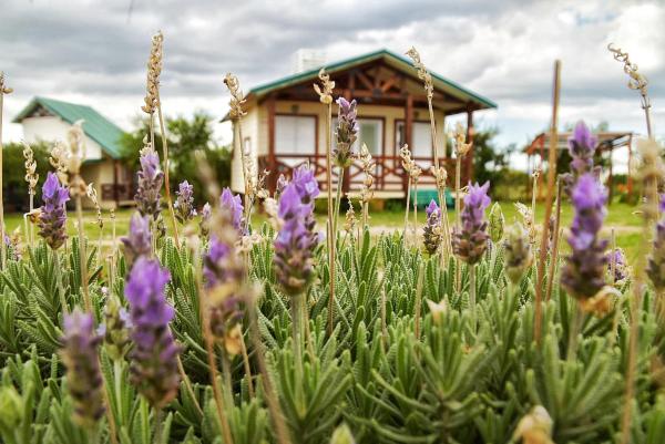 写真にはDolores市にあるBrisas de Geranioが写っています。