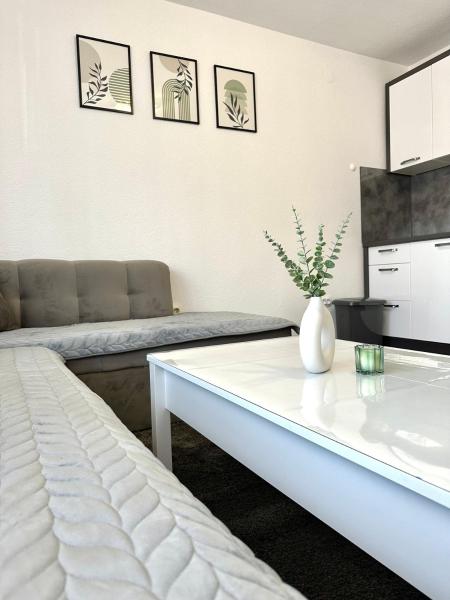 På billedet ses objektet Apartman Lara Laktasi beliggende i byen Riječani.