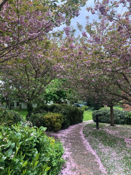 Marlay & Mountain Retreat, Dublin