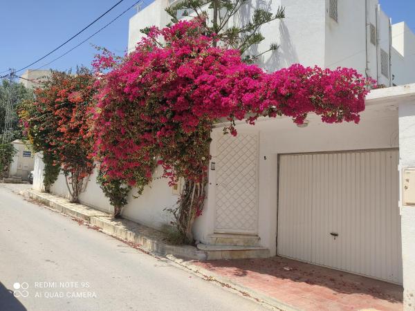 Villa Chic Garden & Parking -10 Mn Airport - Tunes