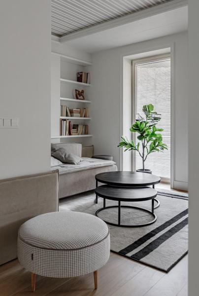 A la foto es mostra l'objecte The River apartment in Paupys situat a la ciutat de Vílnius.