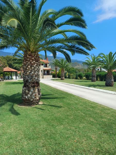Nella foto è visibile l'oggetto Villa Kallimanis situato nella città di Platanidia.