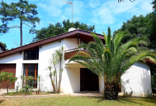 A la foto es mostra l'objecte Villa de 6 à 8 pers à Seignosse Le Penon situat a la ciutat de Seignosse.