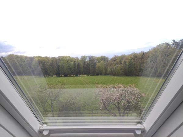 Zdjęcie 3: FeWo - Dat tweete Tohuus - Im Herzen der Lüneburger Heide