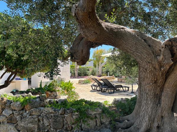 På billedet ses objektet Aquarium - Villa con accesso al mare - parcheggio beliggende i byen San Vito.