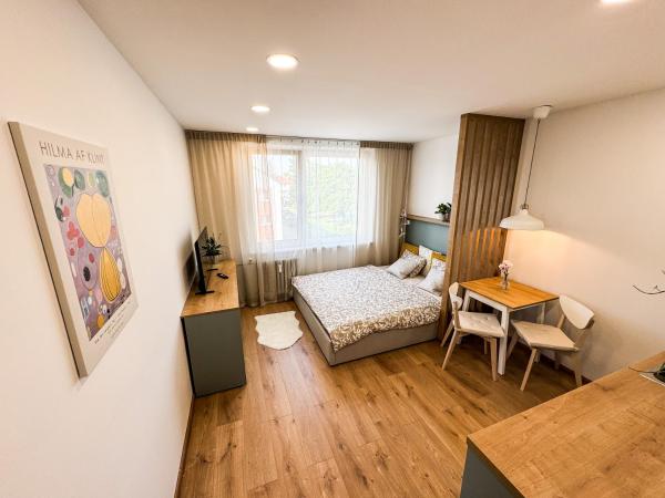 A la foto es mostra l'objecte Studio Apartment Trenčín situat a la ciutat de Trenčín.