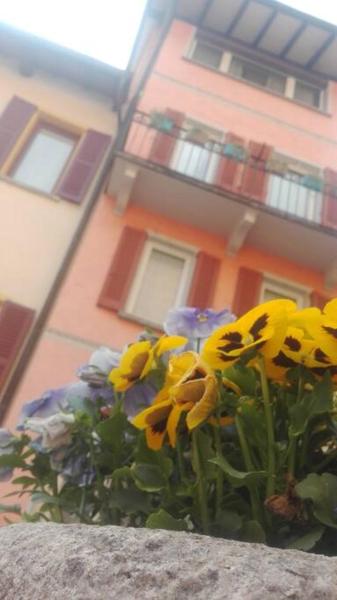 A la foto es mostra l'objecte Fairy housing unit at 10 minutes drive from Lugano situat a la ciutat de Grancia.